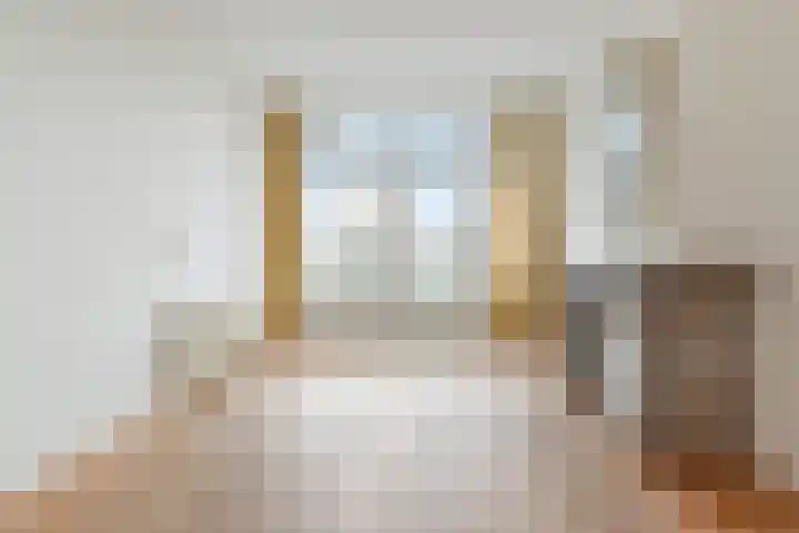 Pahudstraat 209 Den Haag thumbnail 8