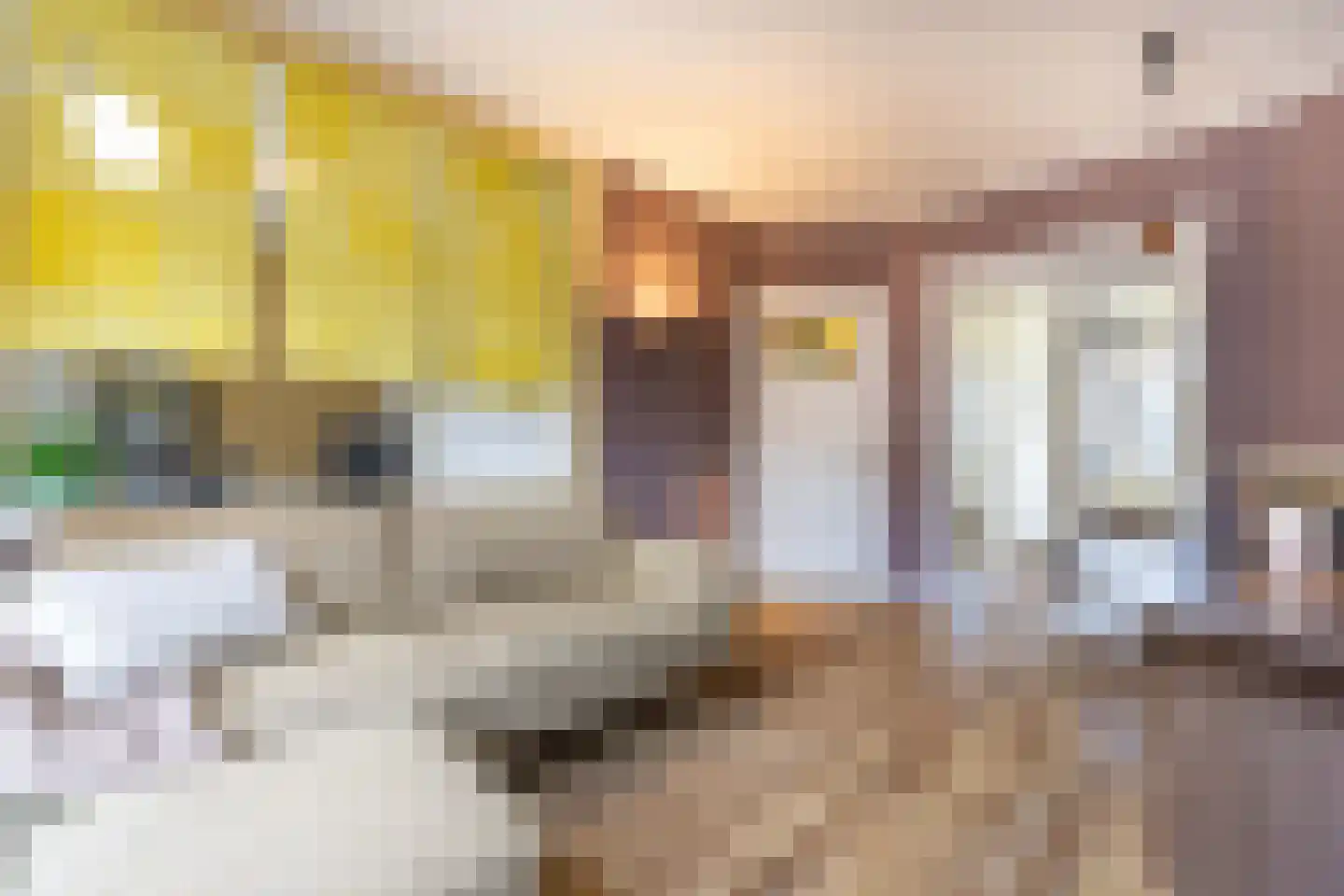 Pahudstraat 70 Den Haag thumbnail 7