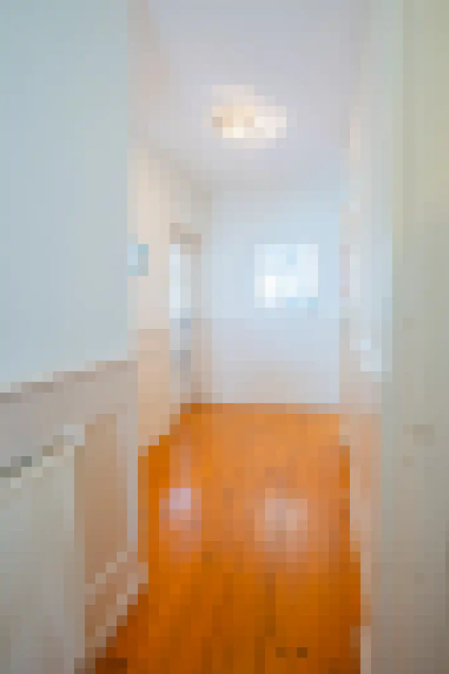 Pahudstraat 73 Den Haag thumbnail 35
