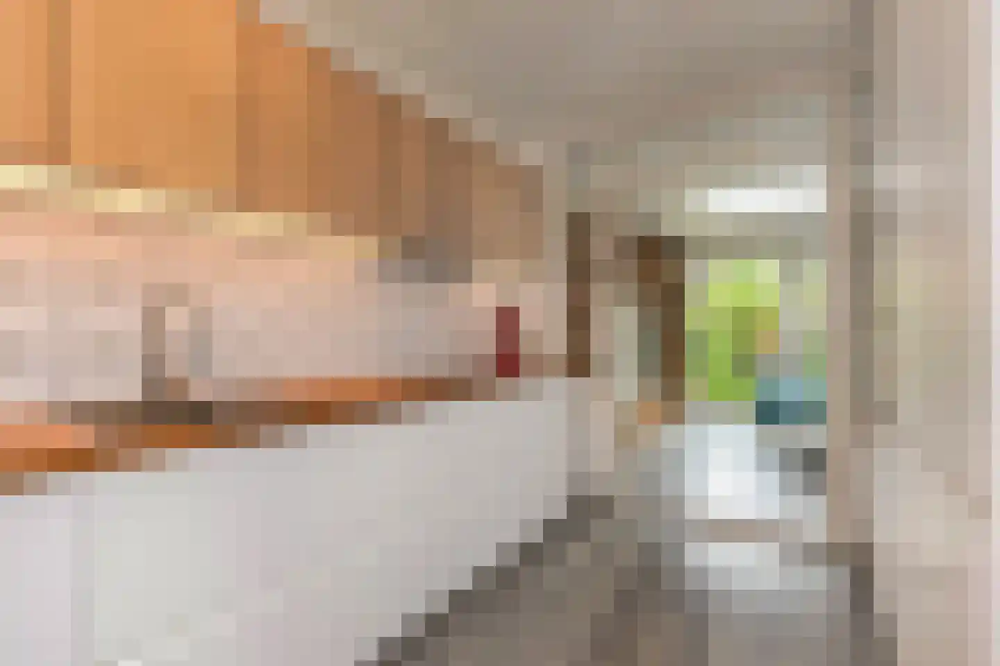Pahudstraat 74 Den Haag thumbnail 17