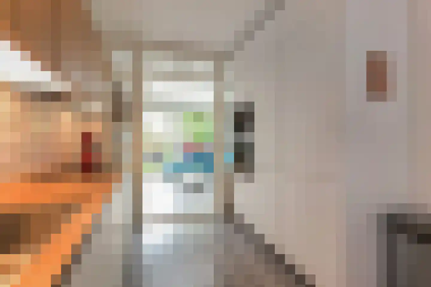Pahudstraat 74 Den Haag thumbnail 18