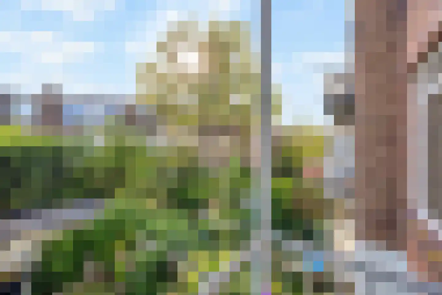 Pahudstraat 82 Den Haag thumbnail 9