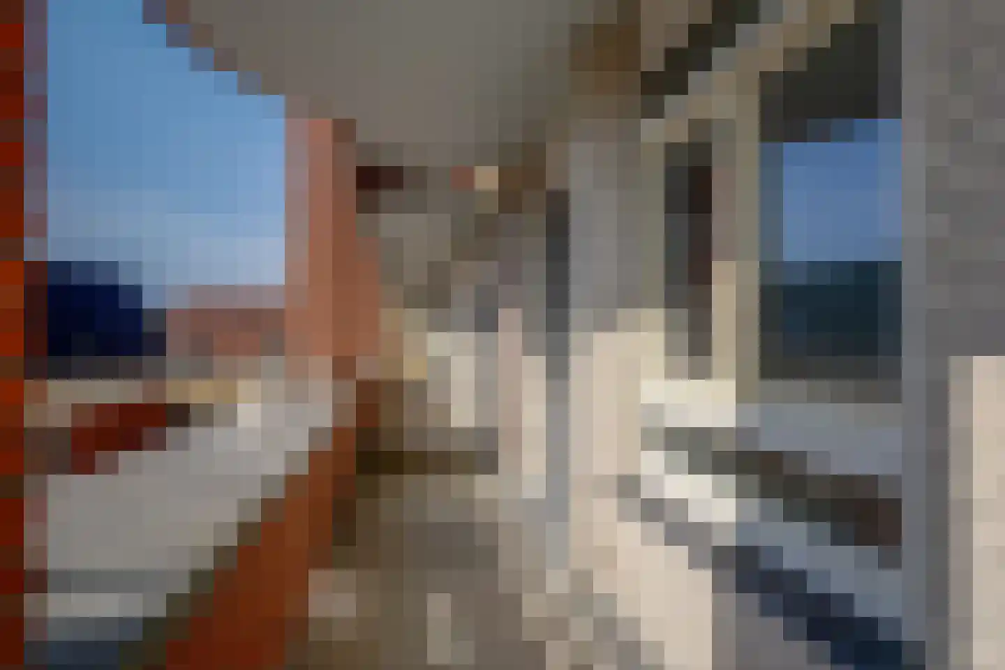 Pakhuisstraat 30 Hoorn thumbnail 40