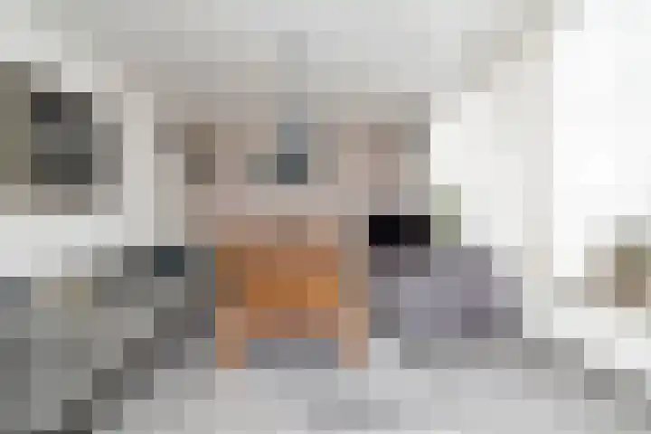 Pakhuisstraat 6 Hoorn thumbnail 10