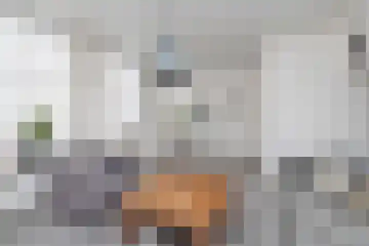 Pakhuisstraat 6 Hoorn thumbnail 12