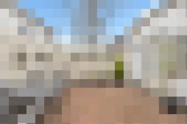 Pakhuisstraat 6 Hoorn thumbnail 37