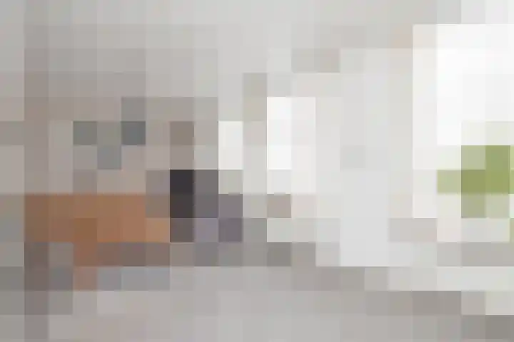 Pakhuisstraat 6 Hoorn thumbnail 8