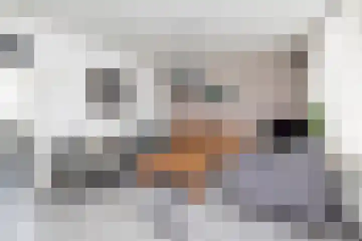 Pakhuisstraat 6 Hoorn thumbnail 9