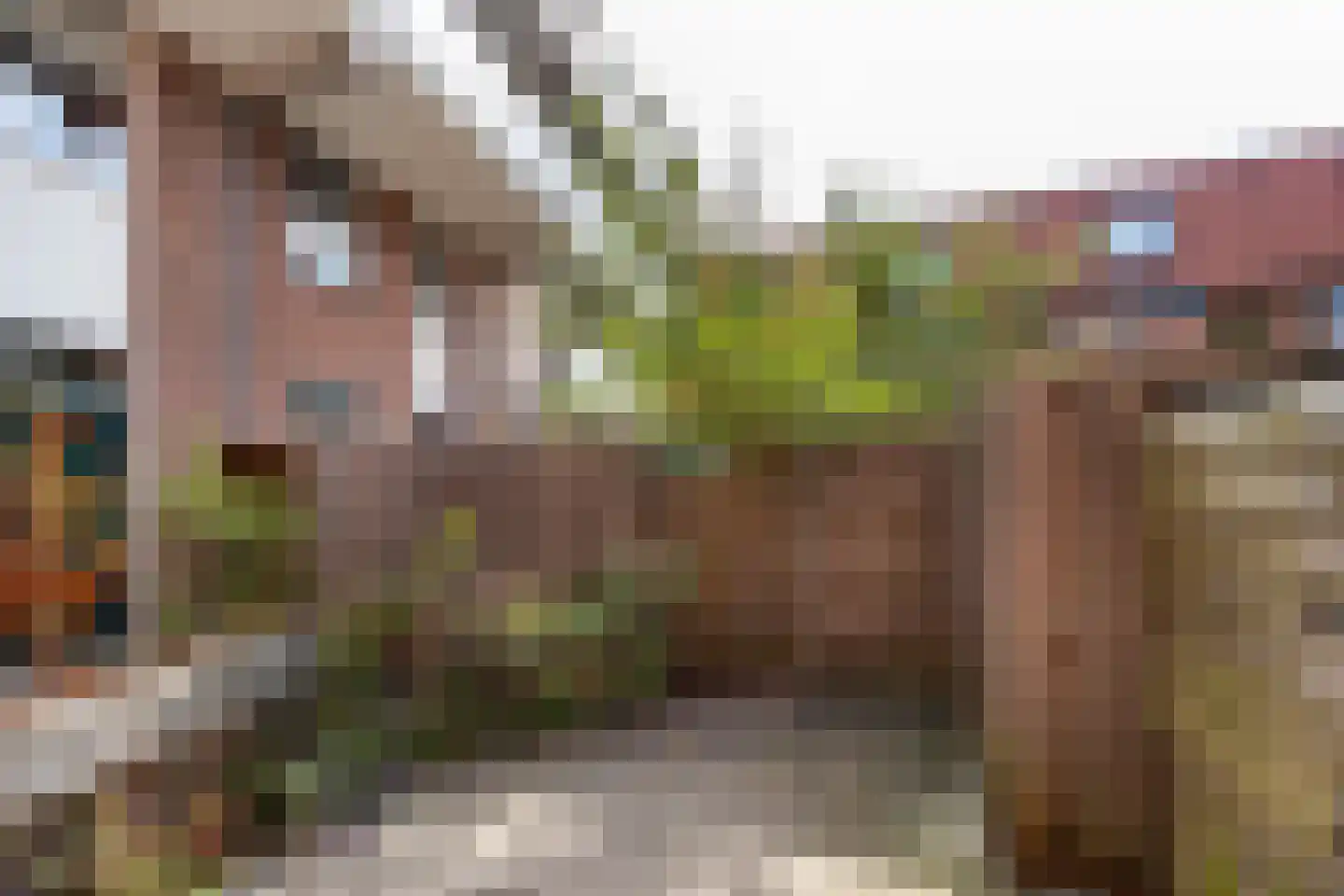 Pakhuisstraat 6 Leiden thumbnail 20