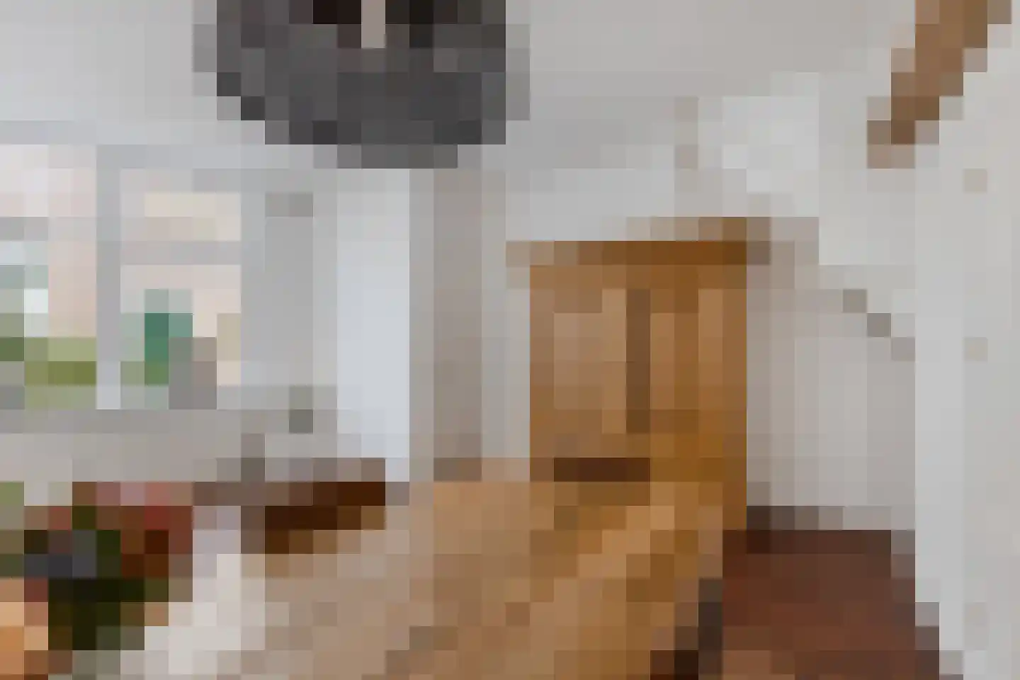 Pakhuisstraat 6 Leiden thumbnail 6