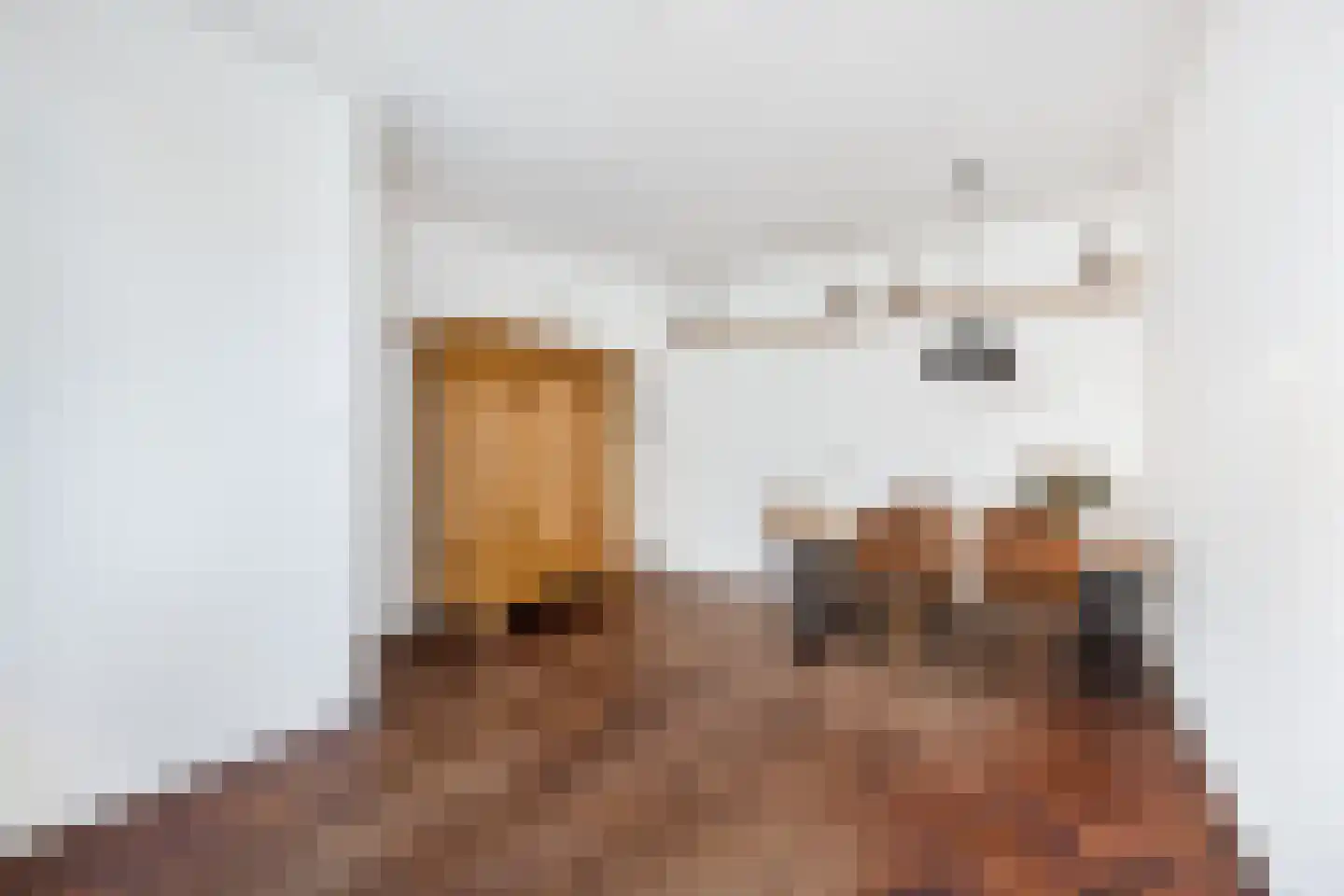 Pakhuisstraat 6 Leiden thumbnail 7