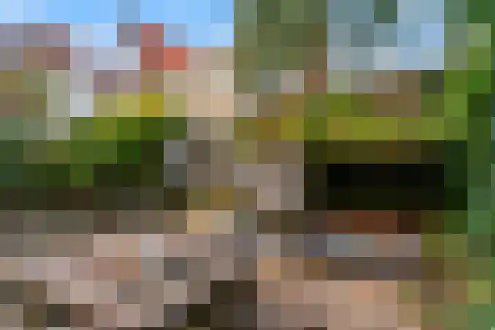 Pakhuisstraat 8 Hoorn thumbnail 20