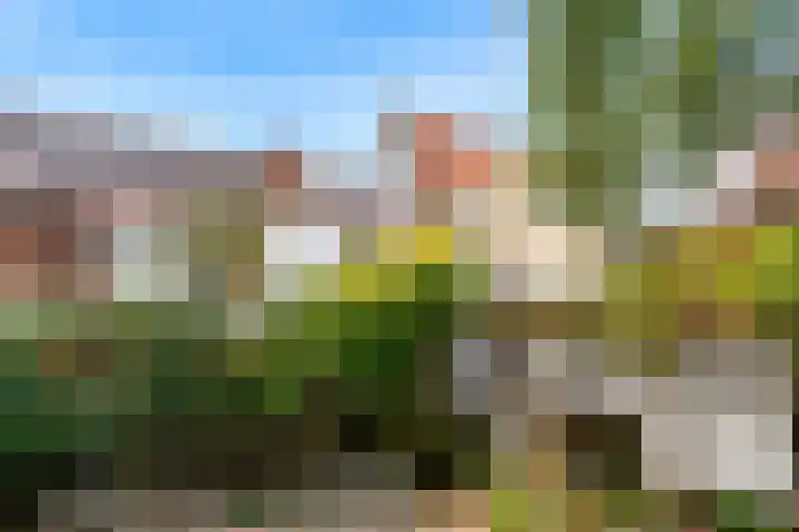 Pakhuisstraat 8 Hoorn thumbnail 22