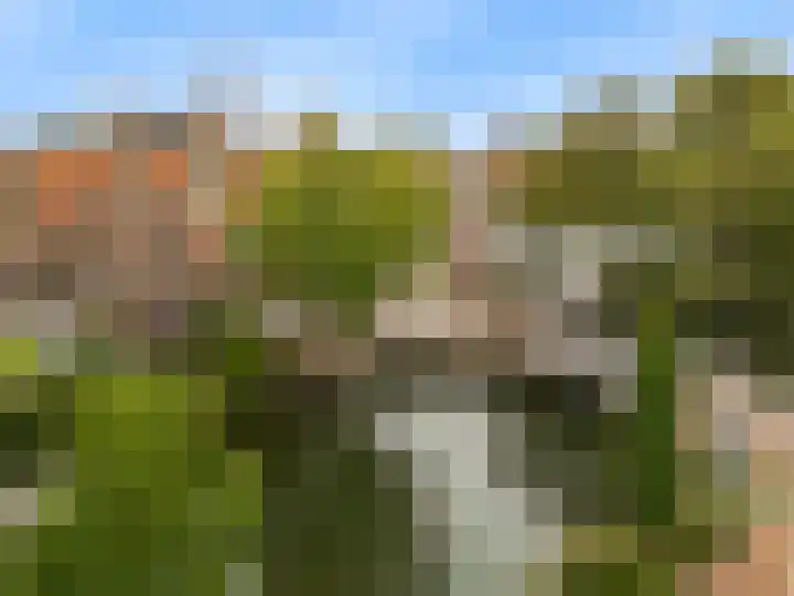Pakhuisstraat 8 Hoorn thumbnail 25