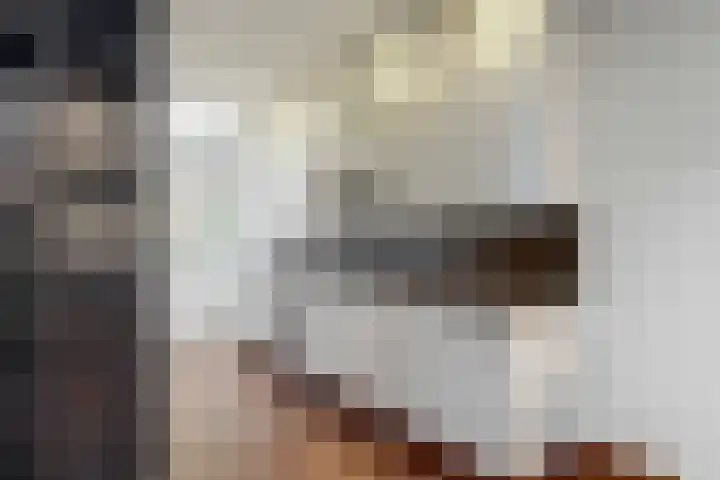 Pakhuisstraat 8 Hoorn thumbnail 8