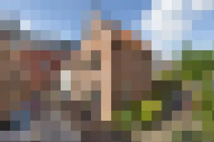 Pakhuisstraat 9 Leiden thumbnail 21