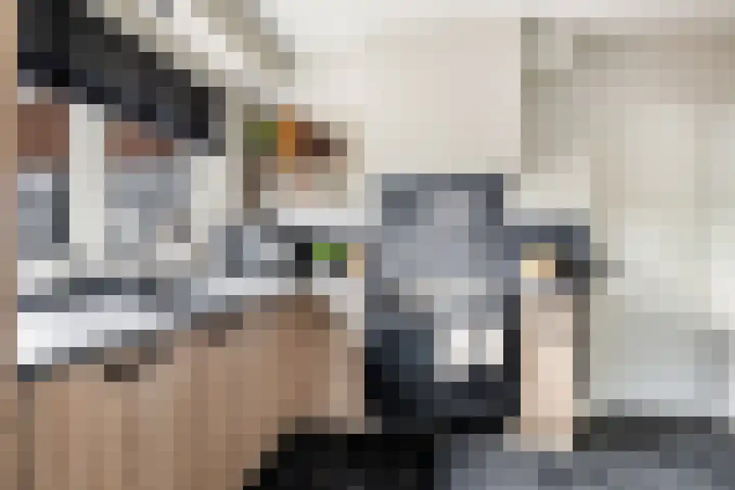Pakhuisweg 10 Ede thumbnail 13