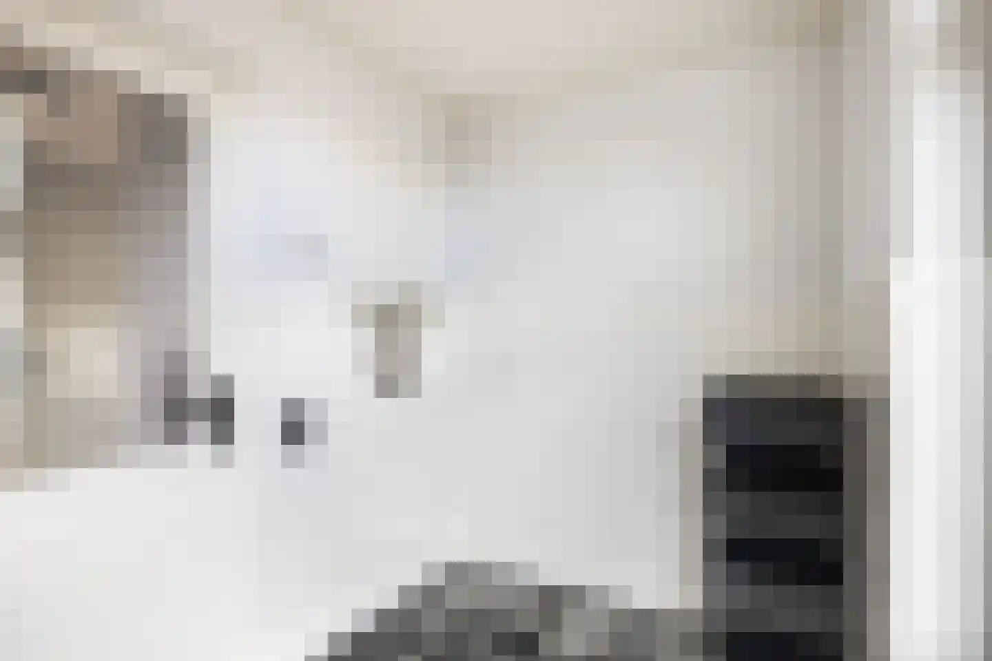 Pakhuisweg 10 Ede thumbnail 14