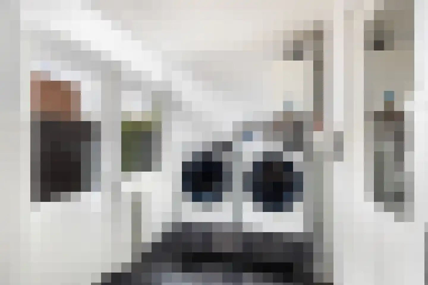 Pakhuisweg 10 Ede thumbnail 15