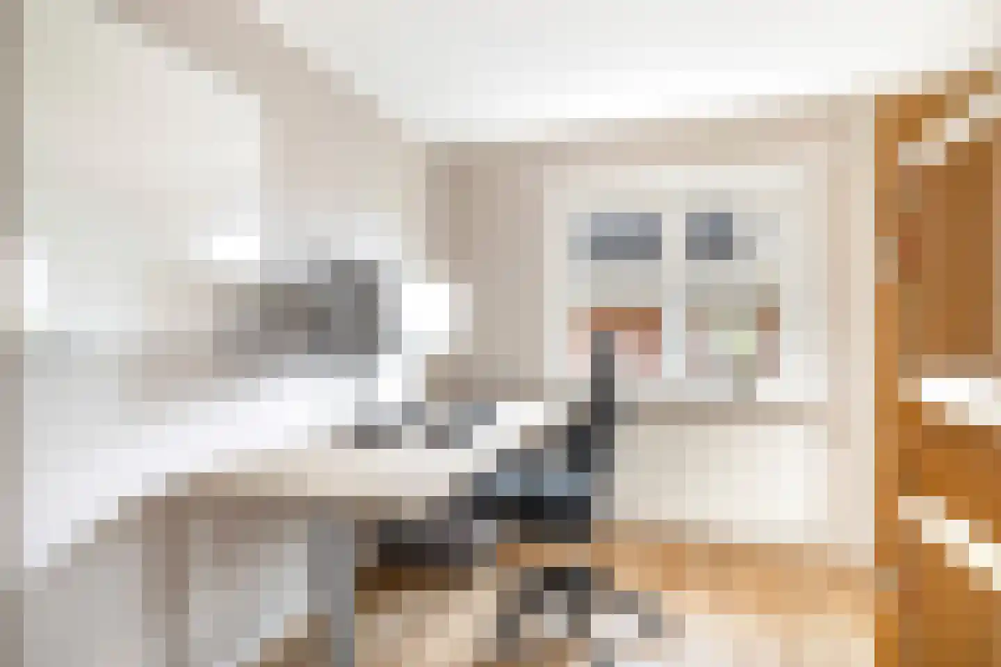 Pakhuisweg 10 Ede thumbnail 24