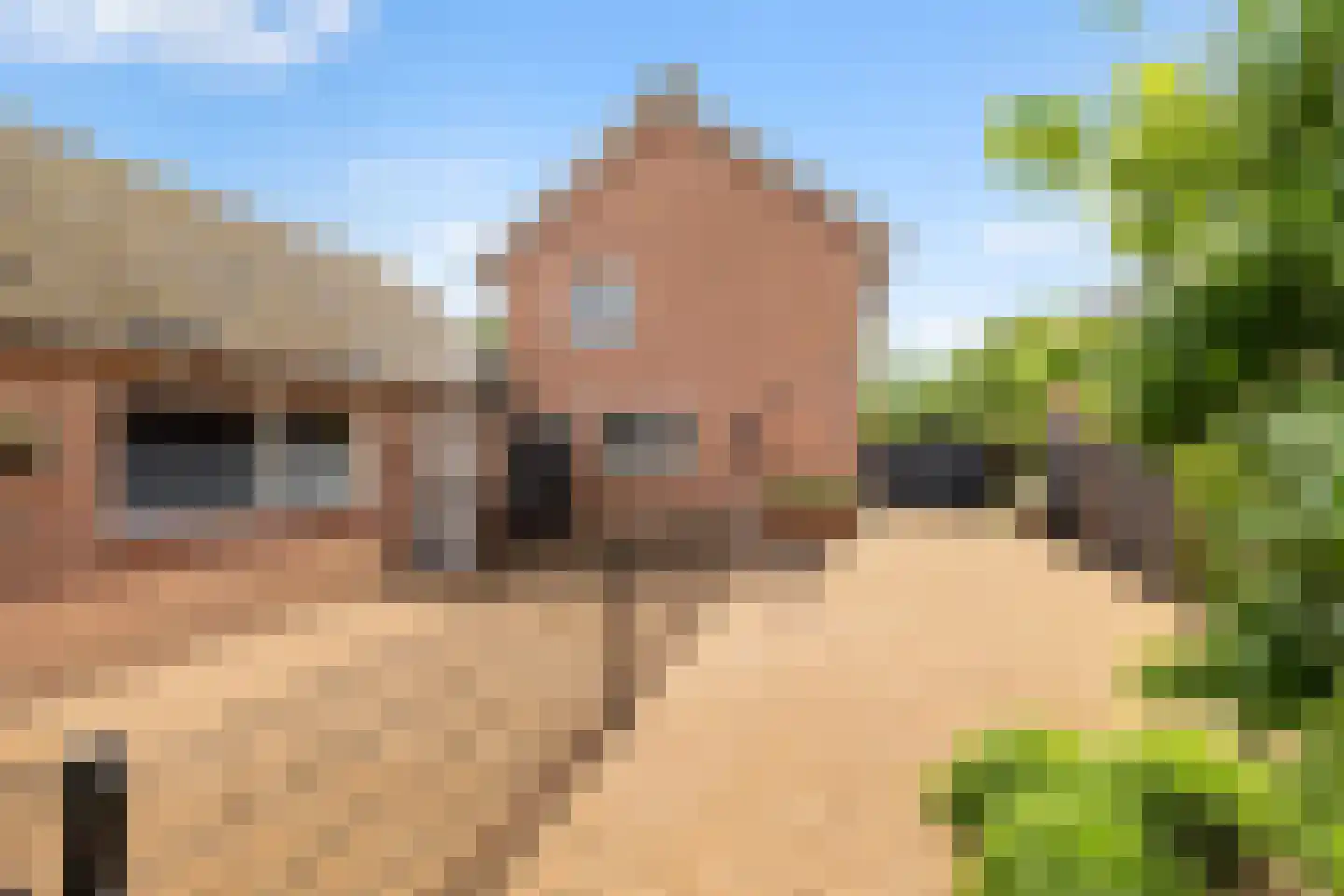 Pakhuisweg 10 Ede thumbnail 30