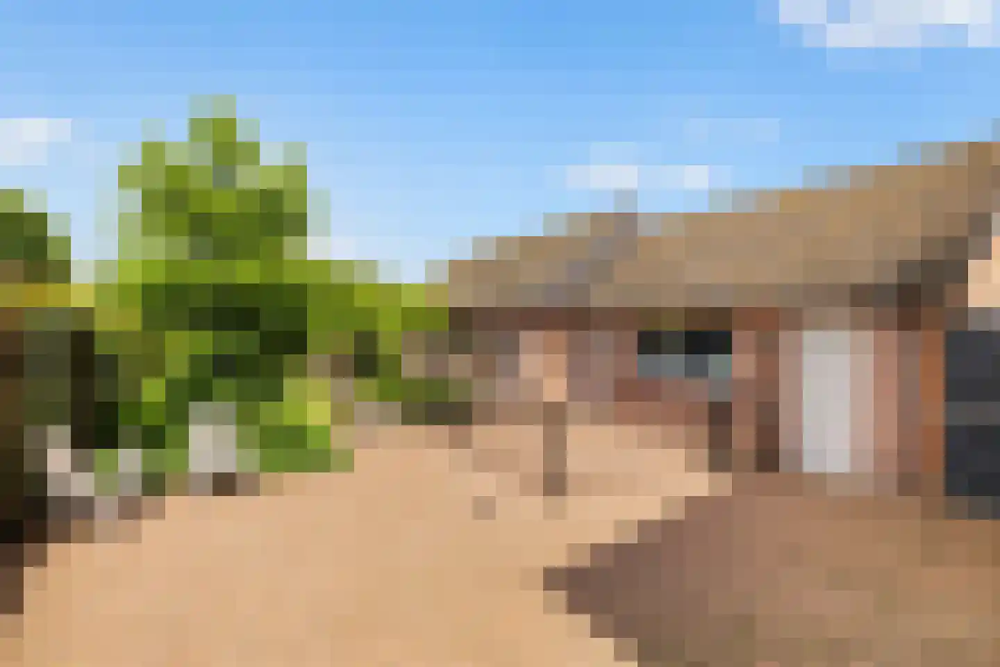 Pakhuisweg 10 Ede thumbnail 31