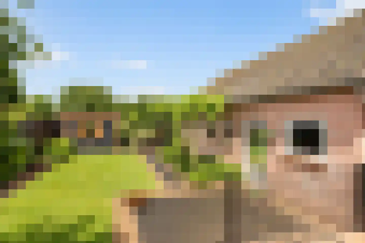 Pakhuisweg 10 Ede thumbnail 33