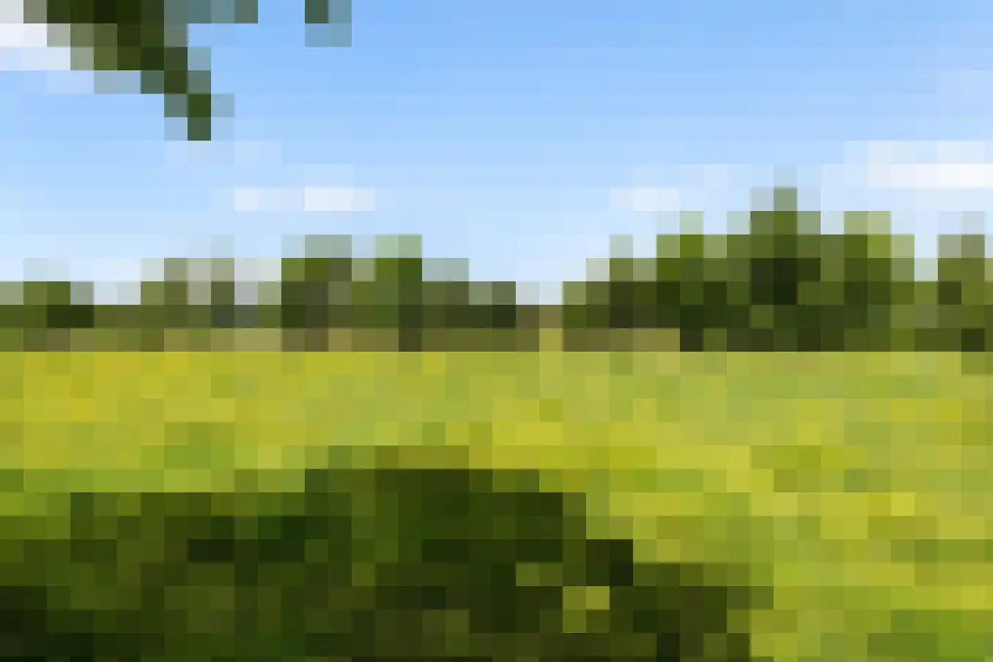 Pakhuisweg 10 Ede thumbnail 39