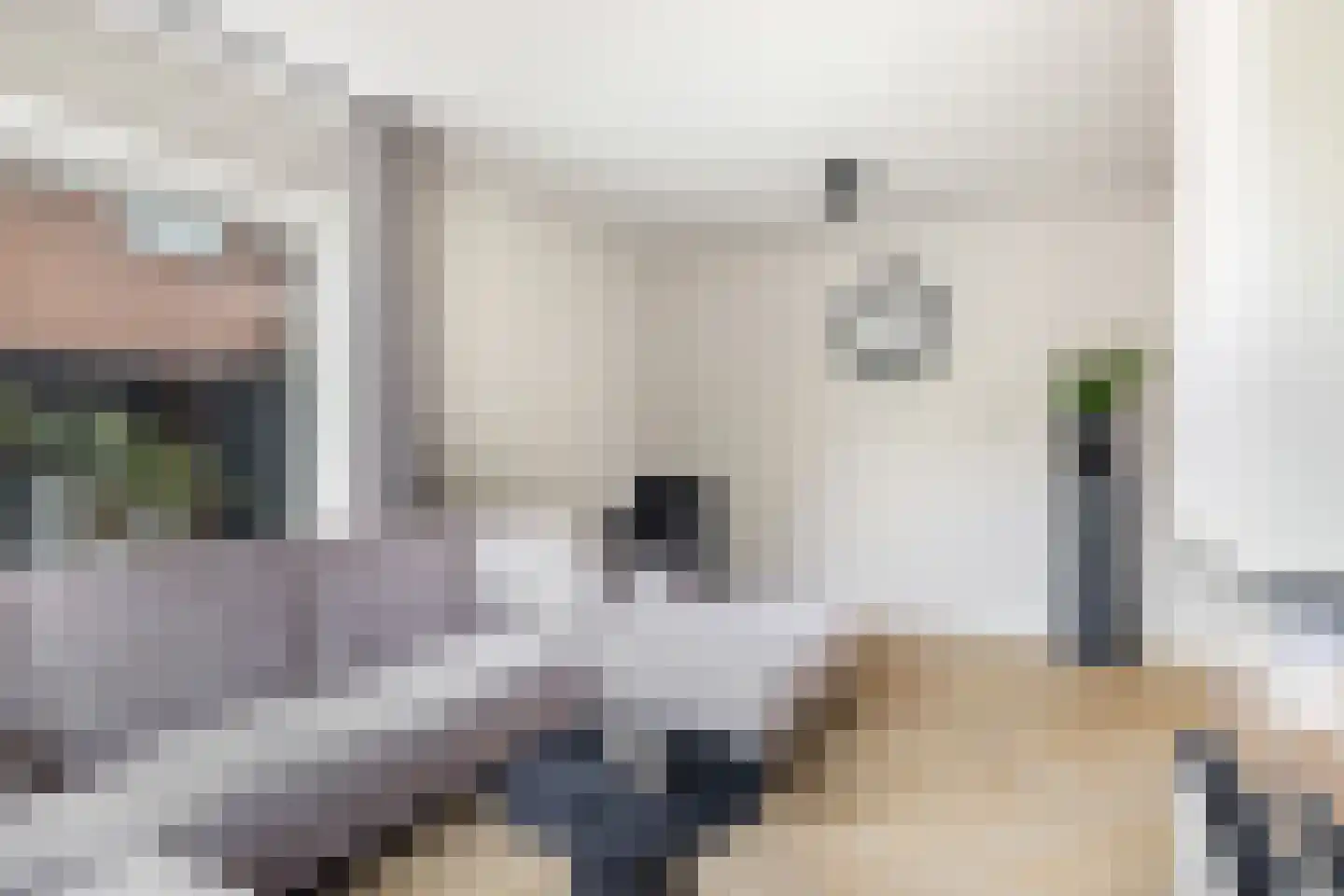 Pakhuisweg 10 Ede thumbnail 7