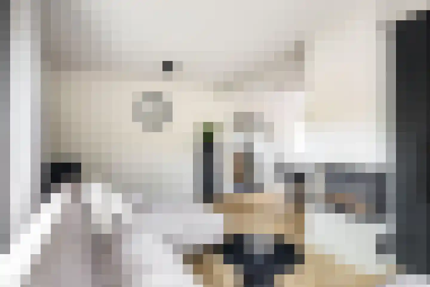 Pakhuisweg 10 Ede thumbnail 8
