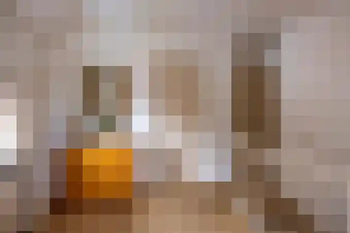 Pakhuisweg 12 Ede thumbnail 13