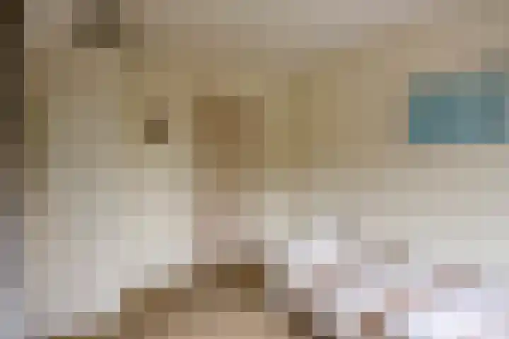 Pakhuisweg 12 Ede thumbnail 17