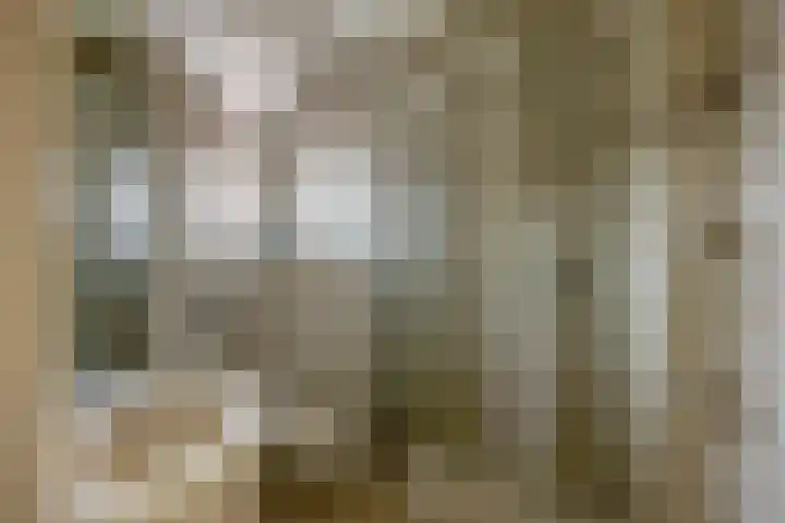 Pakhuisweg 12 Ede thumbnail 20