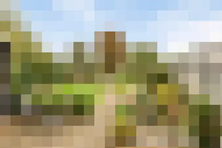 Pakhuisweg 12 Ede thumbnail 22