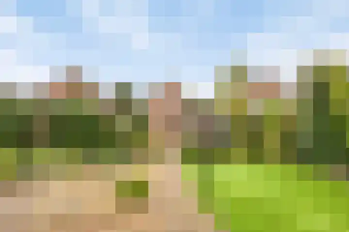Pakhuisweg 12 Ede thumbnail 23