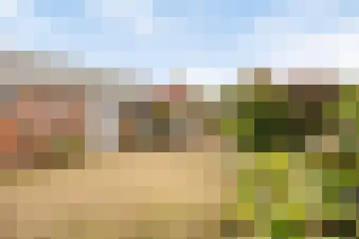 Pakhuisweg 12 Ede thumbnail 24