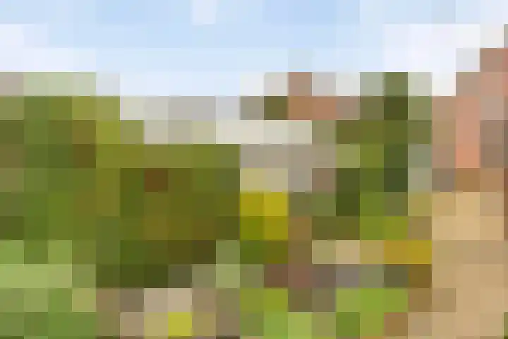 Pakhuisweg 12 Ede thumbnail 26