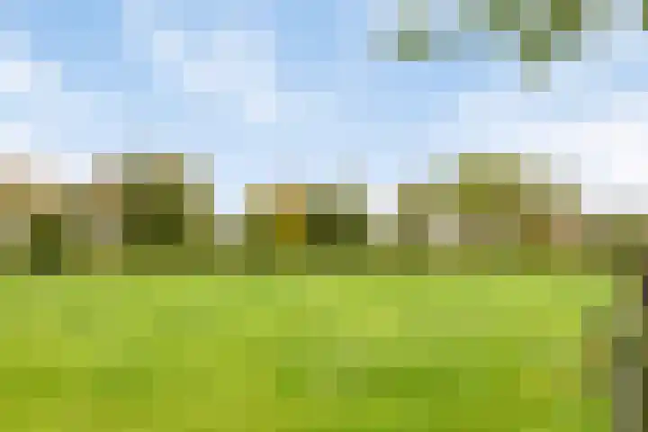 Pakhuisweg 12 Ede thumbnail 30