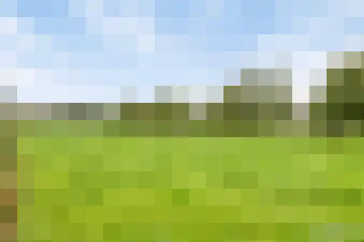 Pakhuisweg 12 Ede thumbnail 31