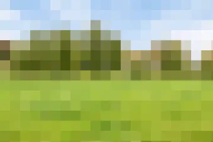 Pakhuisweg 12 Ede thumbnail 32