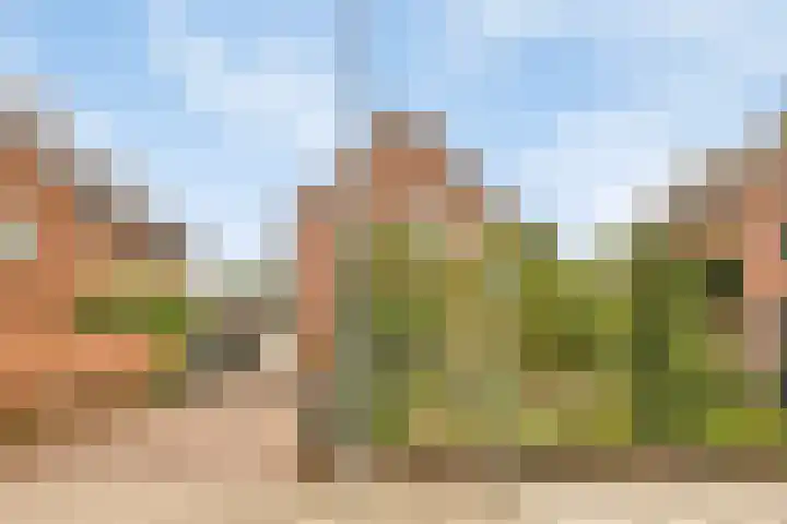 Pakhuisweg 12 Ede thumbnail 34