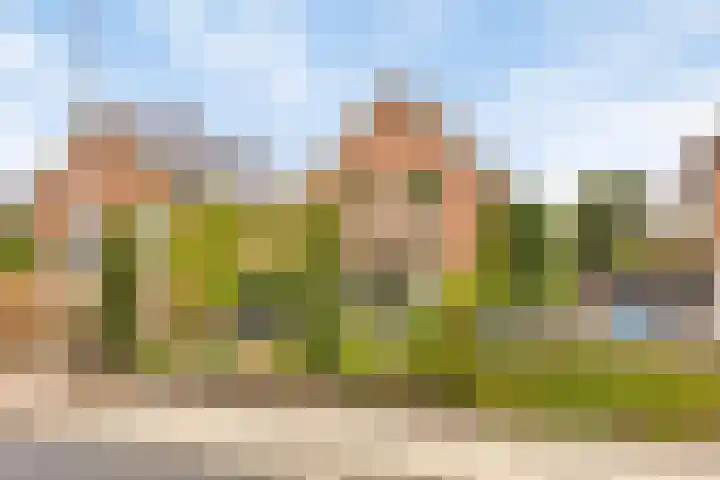 Pakhuisweg 12 Ede thumbnail 35