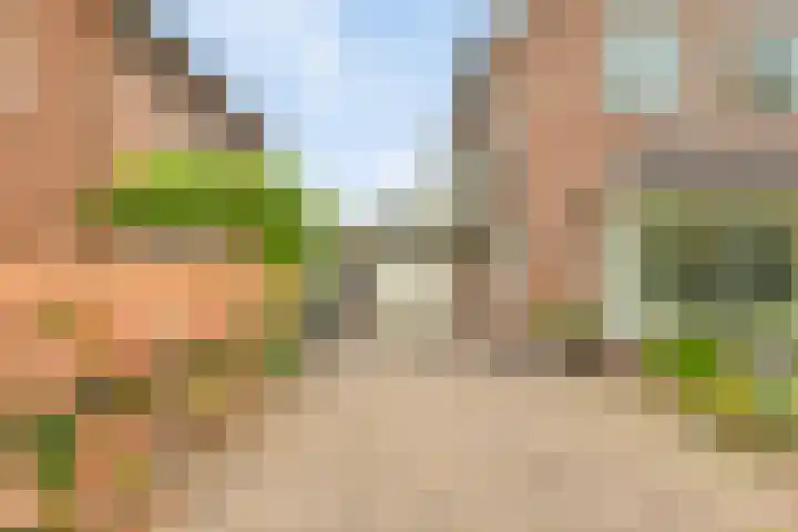 Pakhuisweg 12 Ede thumbnail 36