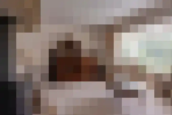 Pakhuisweg 12 Ede thumbnail 4