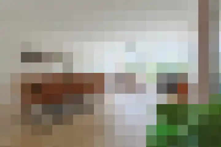 Pakistanstraat 21 Alphen aan den Rijn thumbnail 11