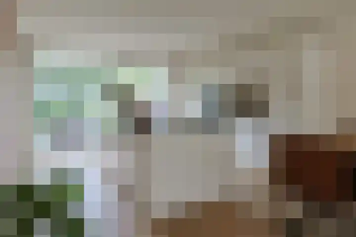 Pakistanstraat 21 Alphen aan den Rijn thumbnail 13