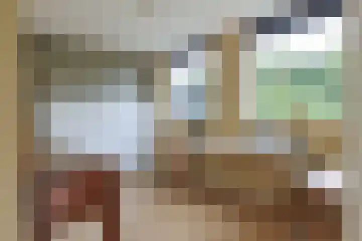 Pakistanstraat 21 Alphen aan den Rijn thumbnail 18