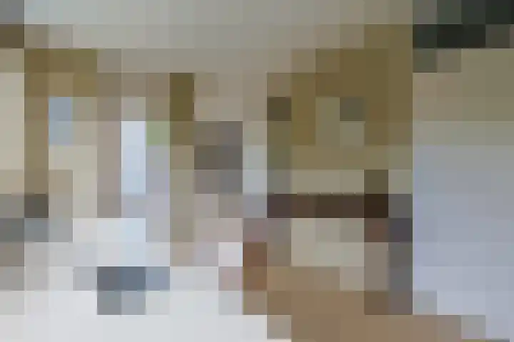 Pakistanstraat 21 Alphen aan den Rijn thumbnail 20