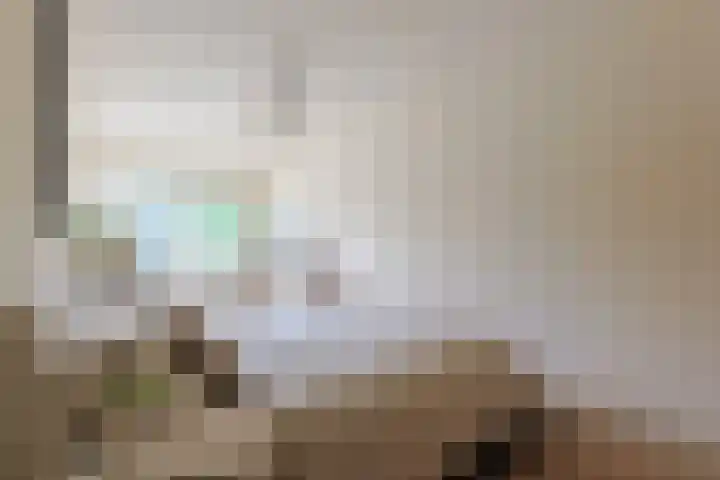 Pakistanstraat 21 Alphen aan den Rijn thumbnail 24