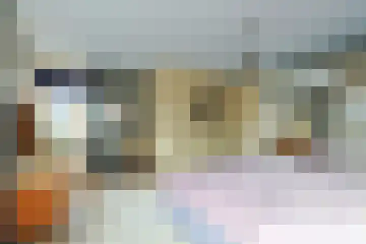 Pakistanstraat 21 Alphen aan den Rijn thumbnail 32